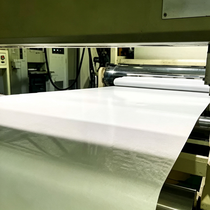 GAG / PET / PMMA / PP Decorative Film Extrusion Line
